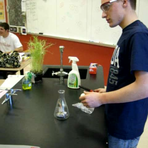 Egg Air Pressure Demonstration