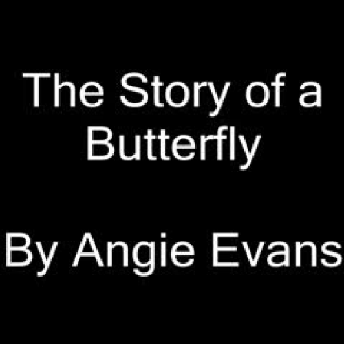 Our Butterfly Story