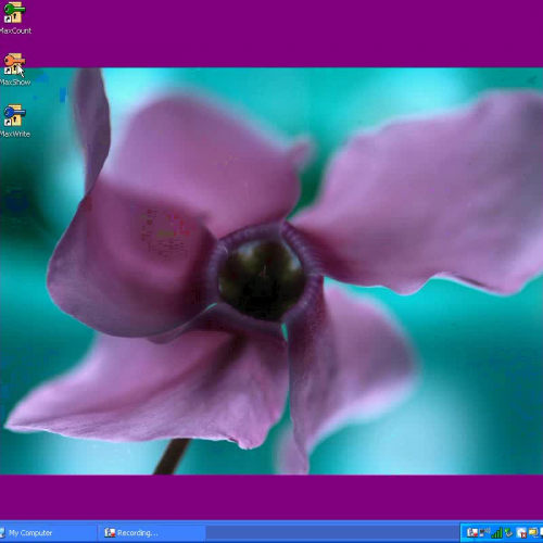 Scholastic Keys Max Show