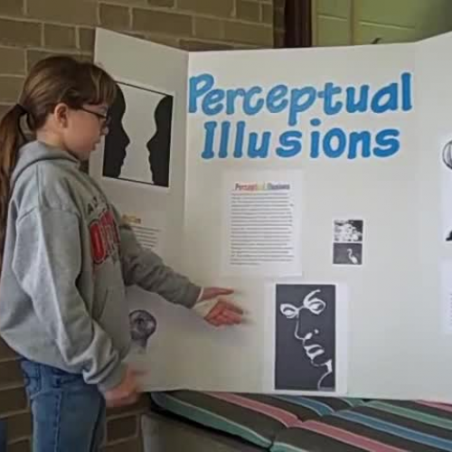 Perceptual Illusions