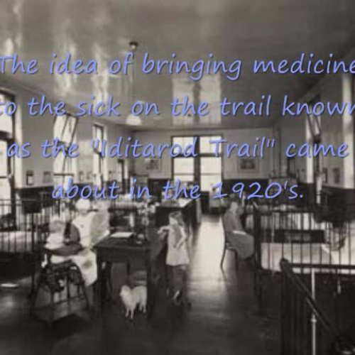 Iditarod Race Storybook
