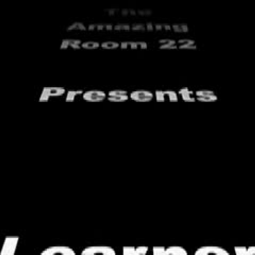 Learner Profile and Attitudes