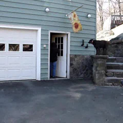 zack and jeffs spanish project