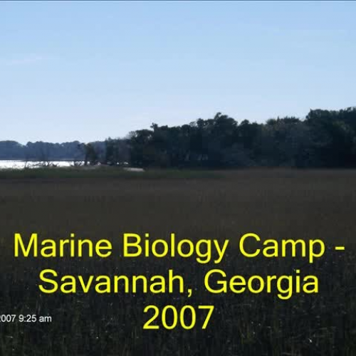 UGA Marine Biology Camp Video