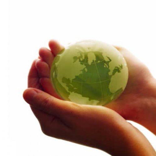 Digital Storytelling Helping the Enviroment