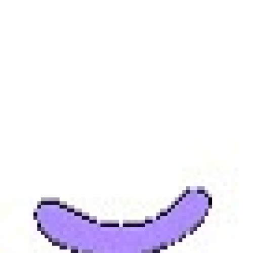 Penguins on Parade Grade 1.mov