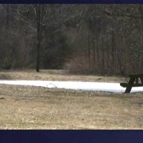 Our Pond complete with Deer