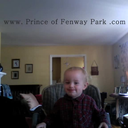 How to Train a Baby Red Sox Fan