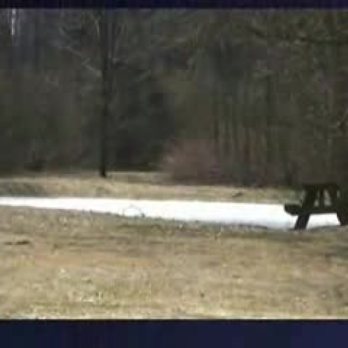 A First Video Creation