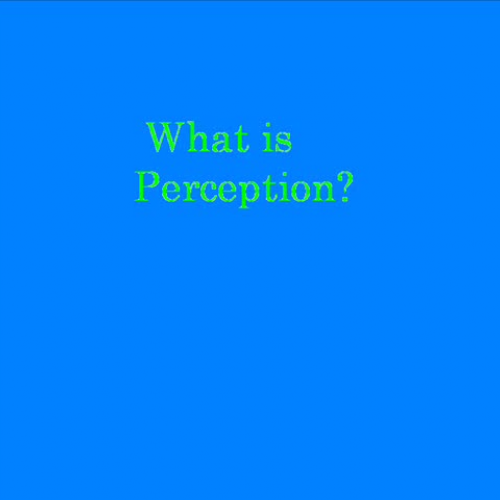 perception lesson