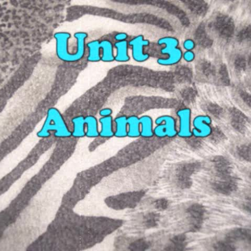 Unit 3- Animals