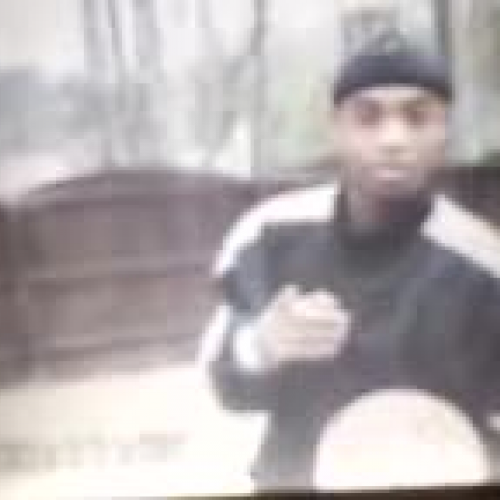 Herndon Law of Gravitation Video Project