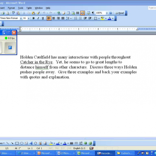 Catcher in the Rye Essay Directions