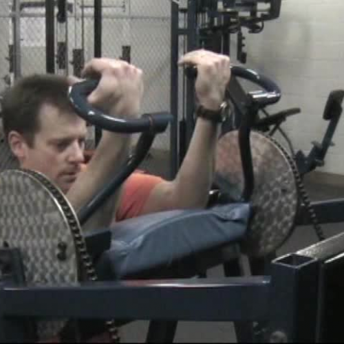 Multi-Bicep - Nautilus