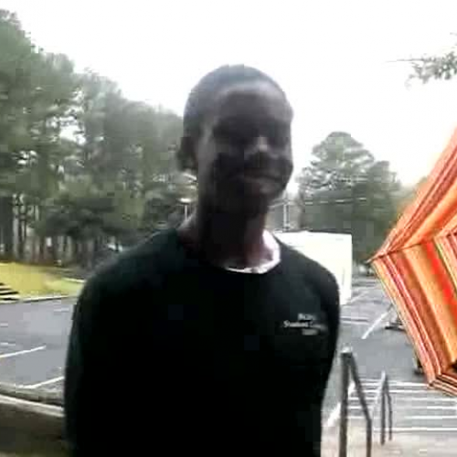 Free Fall by Dorian Longshore