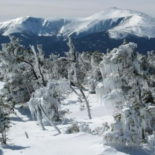 Snowshoe Hikes in the White Mountains Booktal