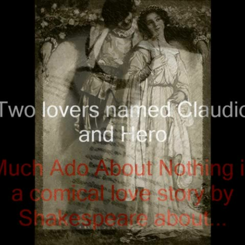 paddock much ado about nothing project