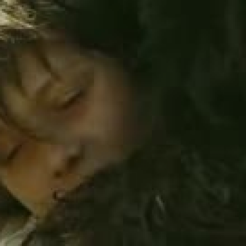 Where the Wild Things Are