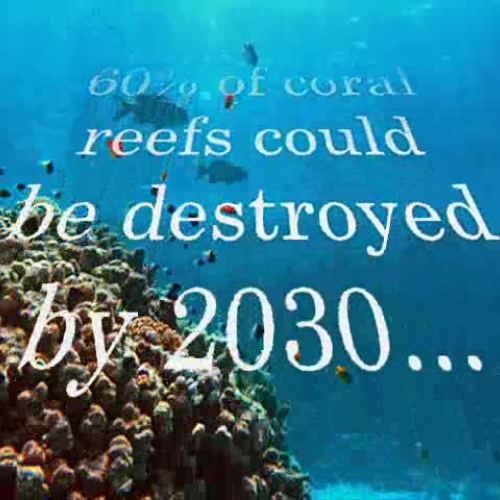 Coral Reefs