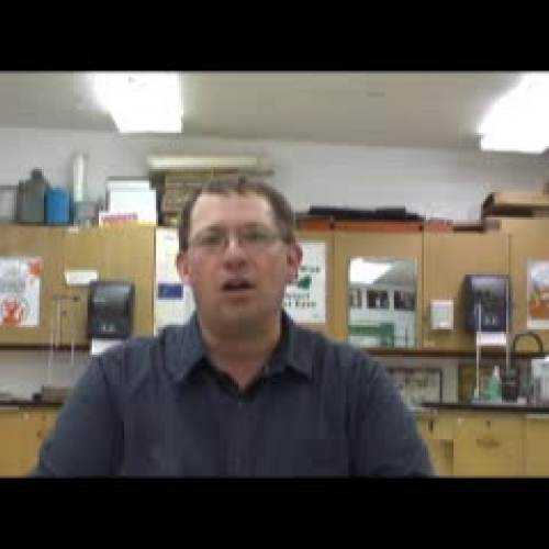 Mock Congress-Rube Goldberg Machines