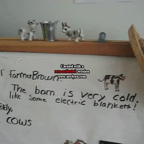 Readers Theatre - Click Clack Moo