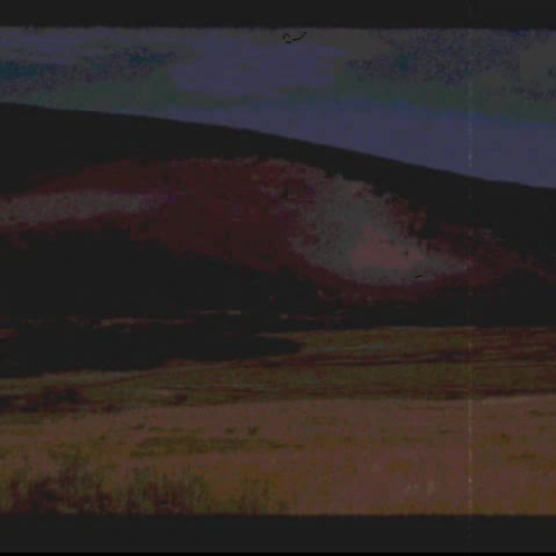 Paddock King Henry VI Part I Trailor Risher