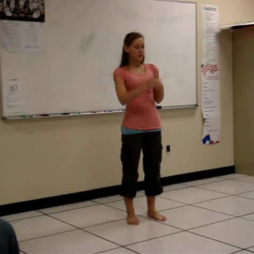 Story of a girl Nine Days ASL song performanc