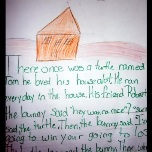 The Running Turtle and the Bunny