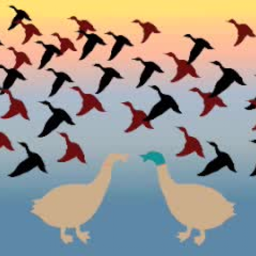 Changes in Philberts Population