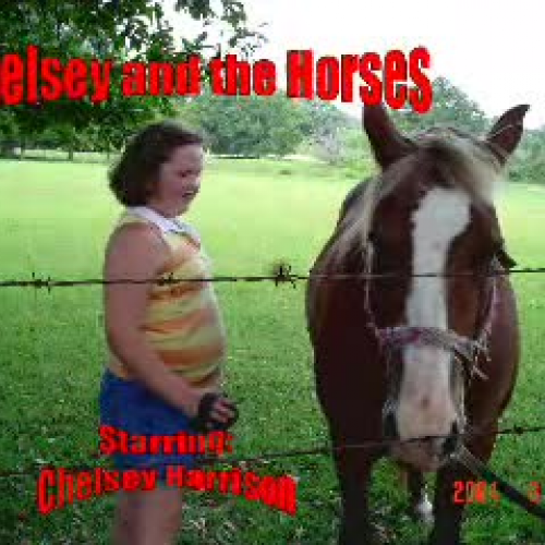 Chelsey and the Horses