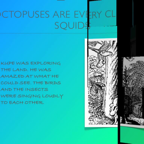 Rm 28 Vatina and Olivia present Kupe and The 