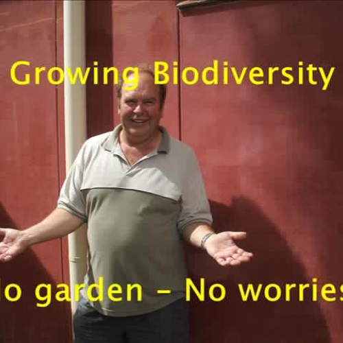 Biodiversity in a Box