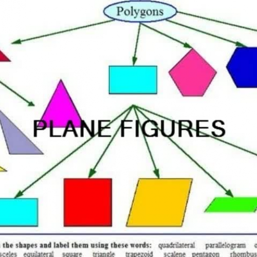 Polygons and  Polyhedrons