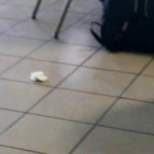 Pollution - Videography