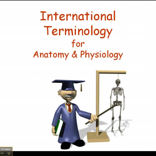 International Terminology of Anatomy