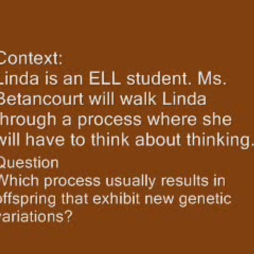 Metacognition and Question Strategies