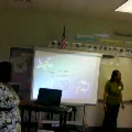 Paper Planes and Aerodynamics