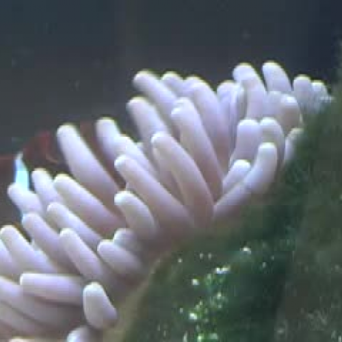 Putnam Museum Sci-Lab