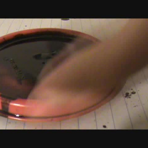 Ferrofluid Phenomena