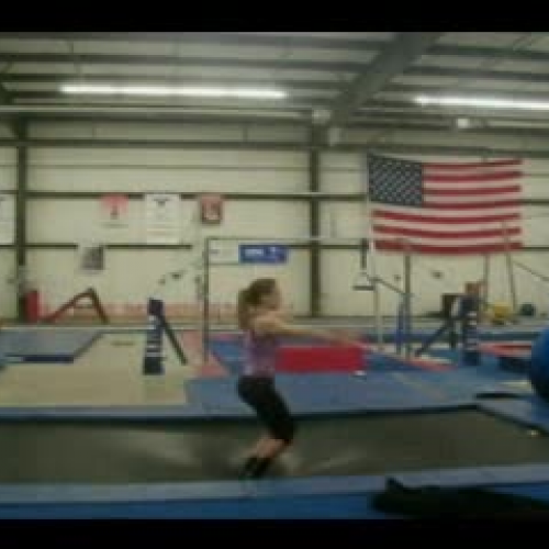 Physics Trampoline Force
