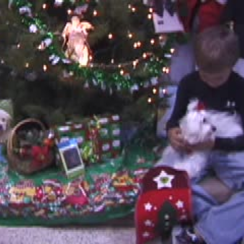 Project H.O.P.E. Christmas Puppy Commercial