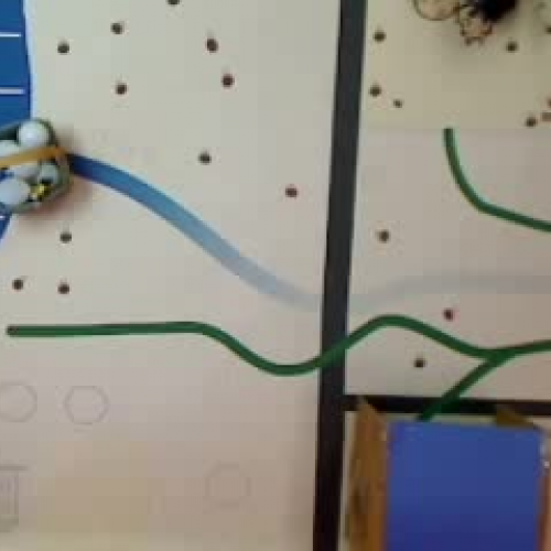 Welcome the Arrivals-Novice