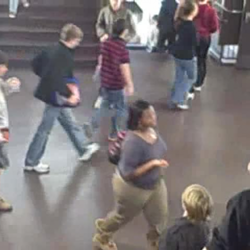 Naturalistic Observation 3