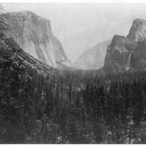 Yosemite and Conservation