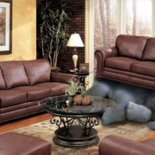 My Elephant Is Missing!