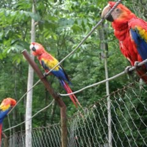 Una visita a Copán