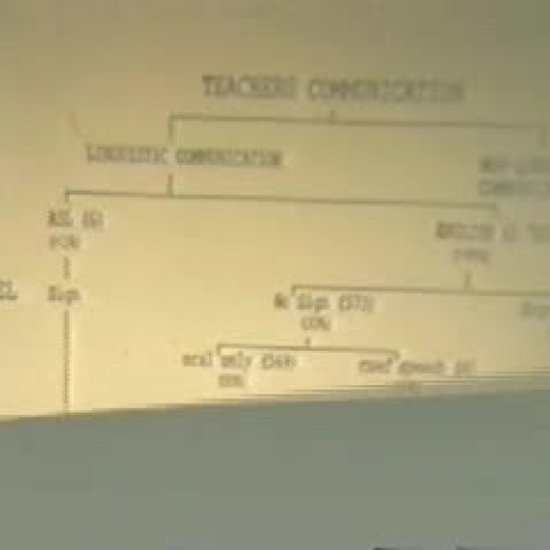 Oral English Described