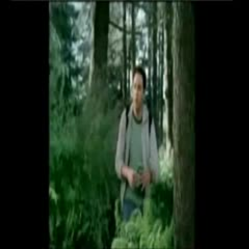 Not Speaking or writing Your Best Isn't Funny