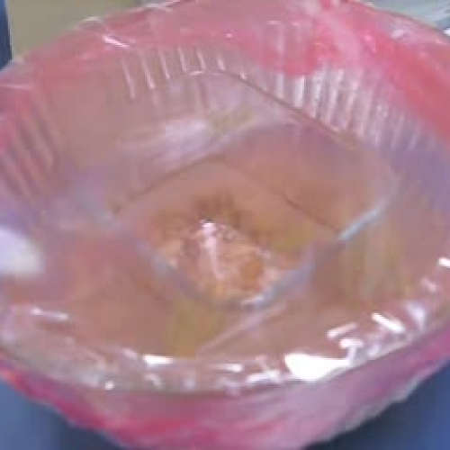 Clean Water Experiment