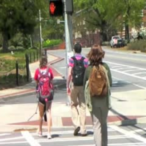 UGA Jaywalking